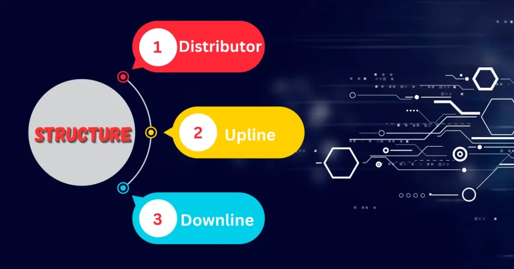 Structure of Network Marketing