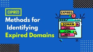 Methods for Identifying Expired Domains 