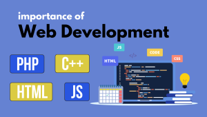 Web Development Important