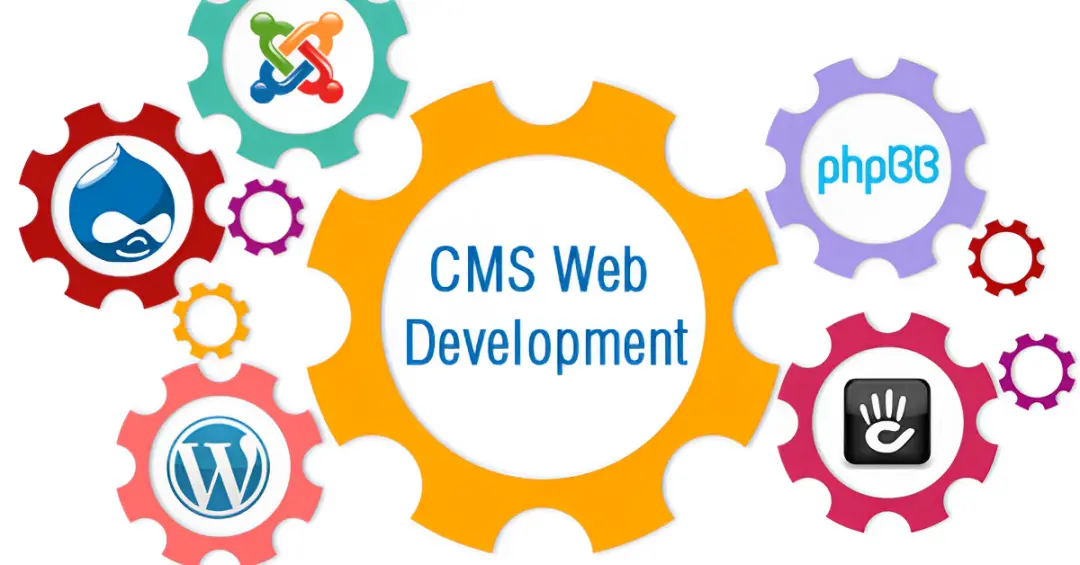 CMS Development