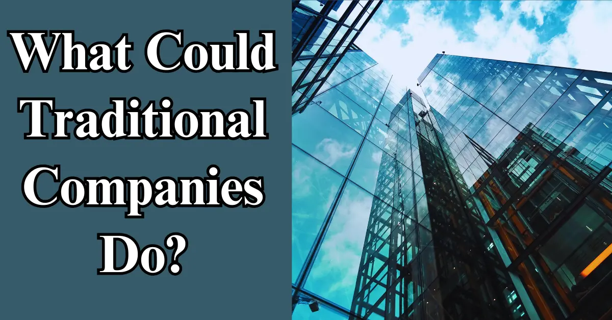 What Could Traditional Companies Do